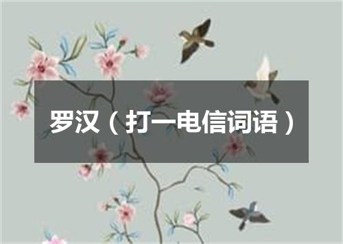 罗汉（打一电信词语）