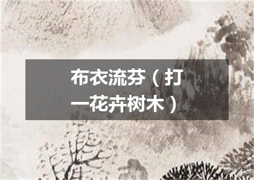 布衣流芬（打一花卉树木）