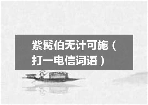 紫髯伯无计可施（打一电信词语）
