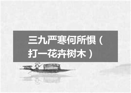 三九严寒何所惧（打一花卉树木）