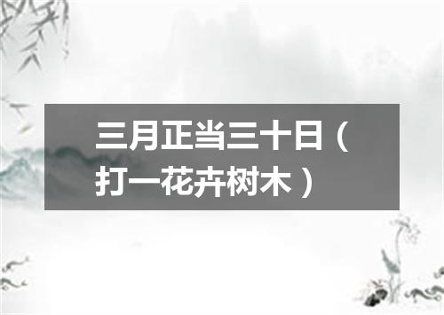 三月正当三十日（打一花卉树木）