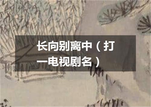 长向别离中（打一电视剧名）