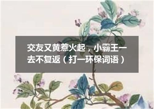 交友又黄惹火起，小霸王一去不复返（打一环保词语）