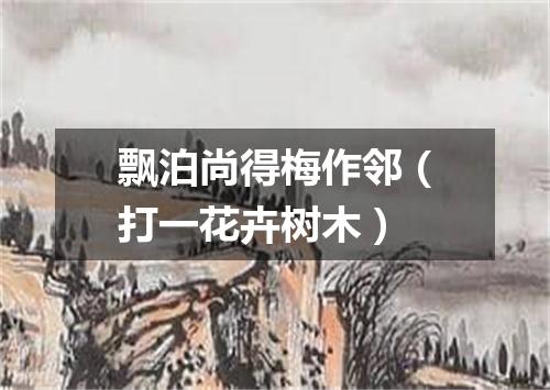 飘泊尚得梅作邻（打一花卉树木）