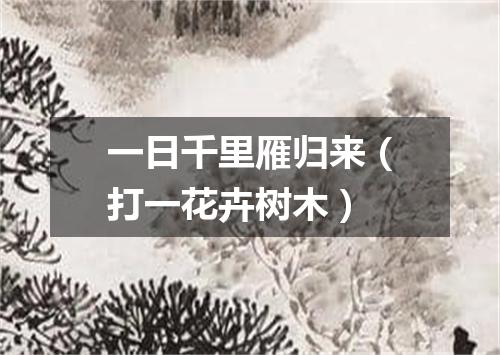 一日千里雁归来（打一花卉树木）