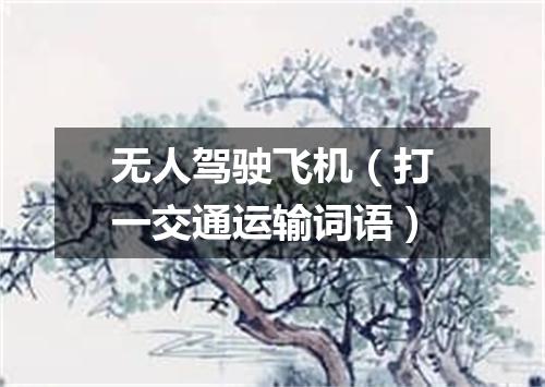无人驾驶飞机（打一交通运输词语）