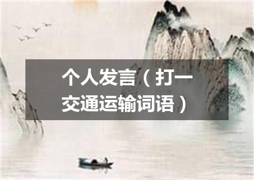 个人发言（打一交通运输词语）