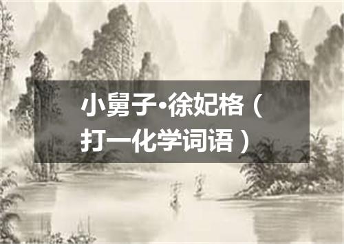 小舅子·徐妃格（打一化学词语）