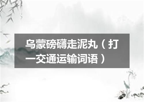 乌蒙磅礴走泥丸（打一交通运输词语）
