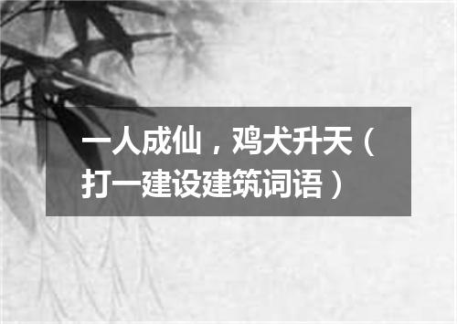 一人成仙，鸡犬升天（打一建设建筑词语）