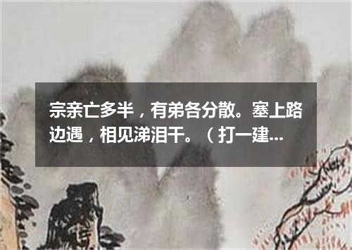 宗亲亡多半，有弟各分散。塞上路边遇，相见涕泪干。（打一建设建筑词语）