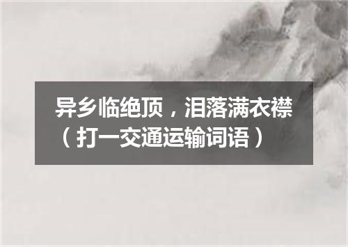 异乡临绝顶，泪落满衣襟（打一交通运输词语）