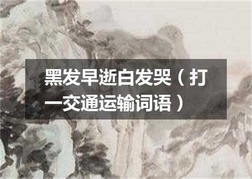 黑发早逝白发哭（打一交通运输词语）
