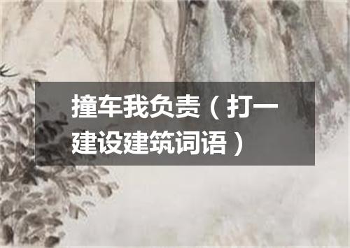 撞车我负责（打一建设建筑词语）