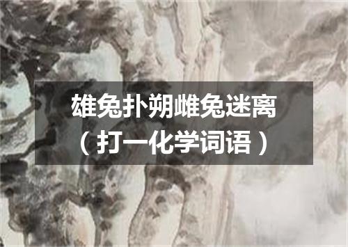 雄兔扑朔雌兔迷离（打一化学词语）