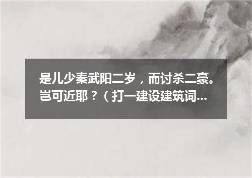 是儿少秦武阳二岁，而讨杀二豪。岂可近耶？（打一建设建筑词语）