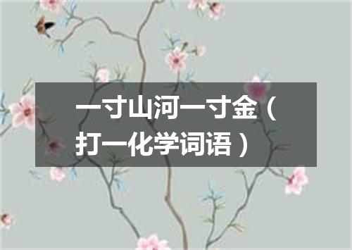 一寸山河一寸金（打一化学词语）