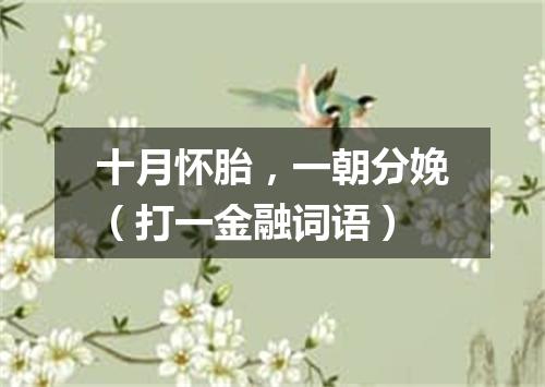 十月怀胎，一朝分娩（打一金融词语）