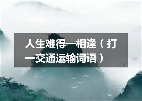 人生难得一相逢（打一交通运输词语）