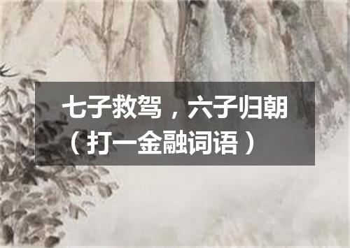 七子救驾，六子归朝（打一金融词语）