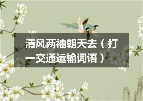 清风两袖朝天去（打一交通运输词语）