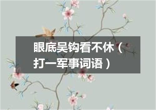 眼底吴钩看不休（打一军事词语）