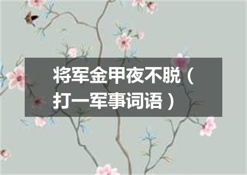 将军金甲夜不脱（打一军事词语）