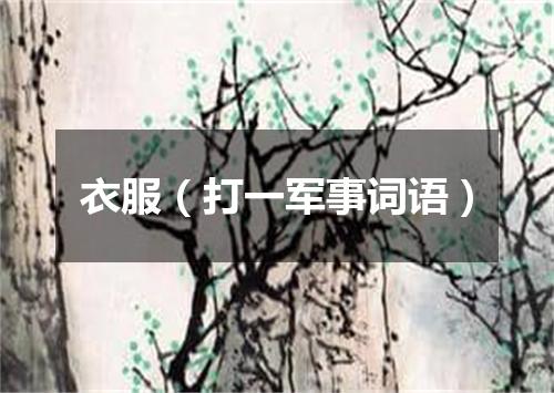 衣服（打一军事词语）