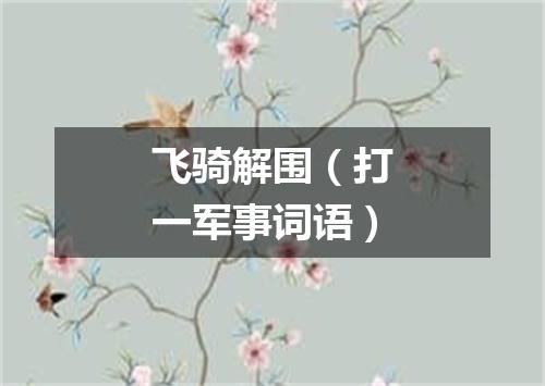 飞骑解围（打一军事词语）