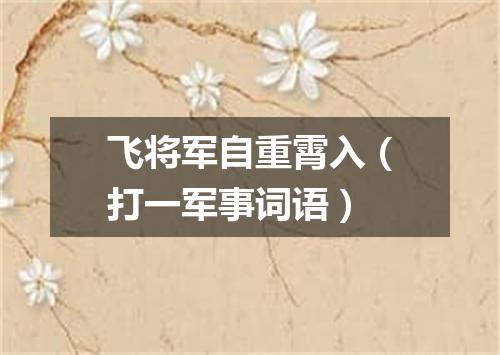 飞将军自重霄入（打一军事词语）