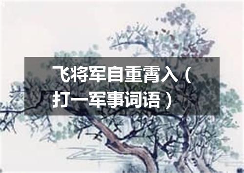 飞将军自重霄入（打一军事词语）