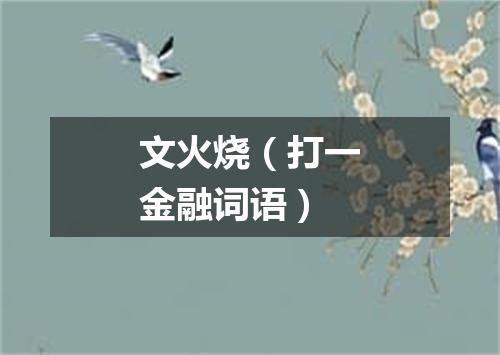 文火烧（打一金融词语）