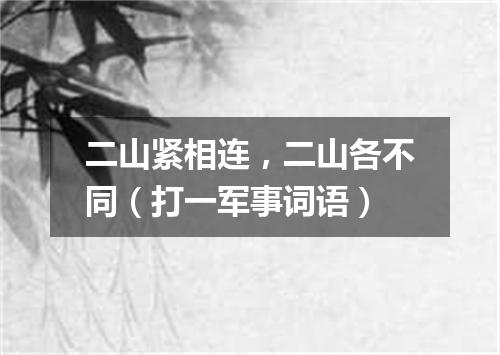 二山紧相连，二山各不同（打一军事词语）