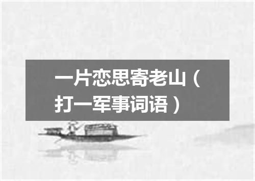 一片恋思寄老山（打一军事词语）