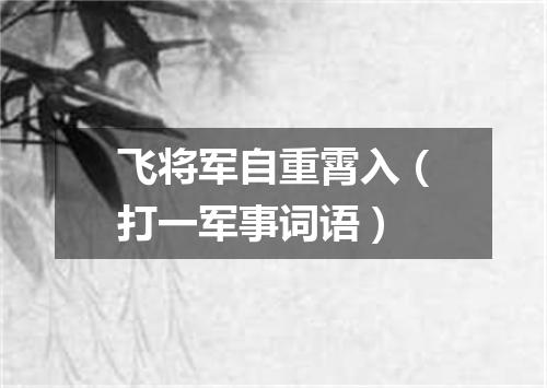 飞将军自重霄入（打一军事词语）
