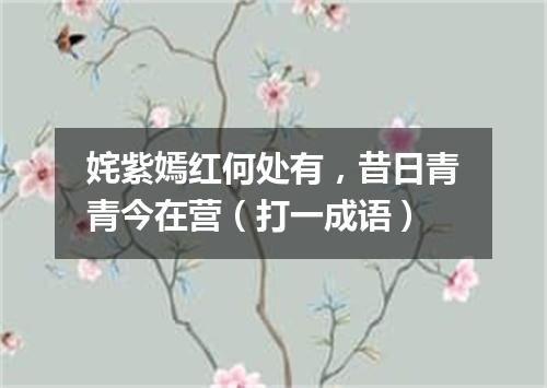 姹紫嫣红何处有，昔日青青今在营（打一成语）