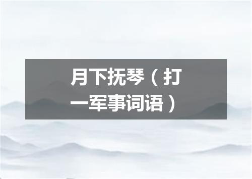 月下抚琴（打一军事词语）
