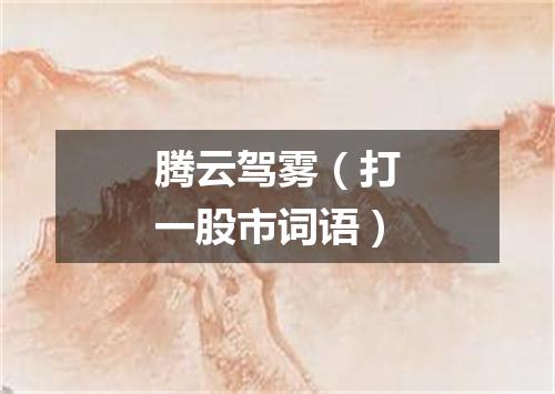 腾云驾雾（打一股市词语）