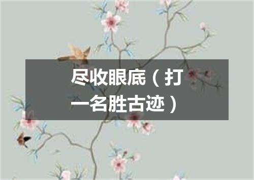尽收眼底（打一名胜古迹）