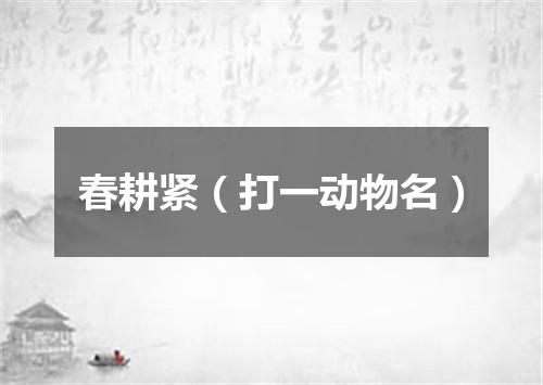 春耕紧（打一动物名）