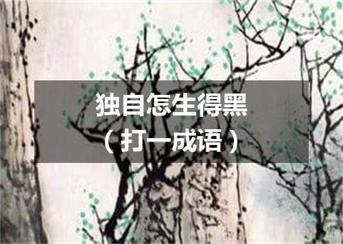 独自怎生得黑（打一成语）