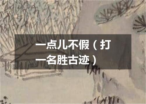 一点儿不假（打一名胜古迹）