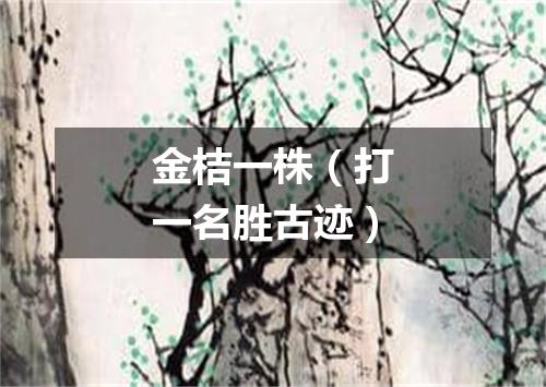 金桔一株（打一名胜古迹）