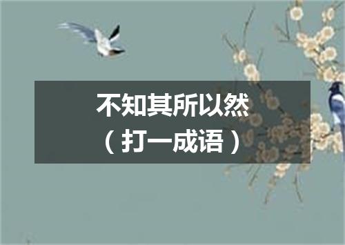 不知其所以然（打一成语）