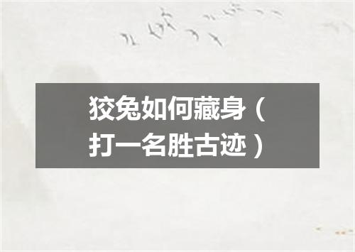 狡兔如何藏身（打一名胜古迹）