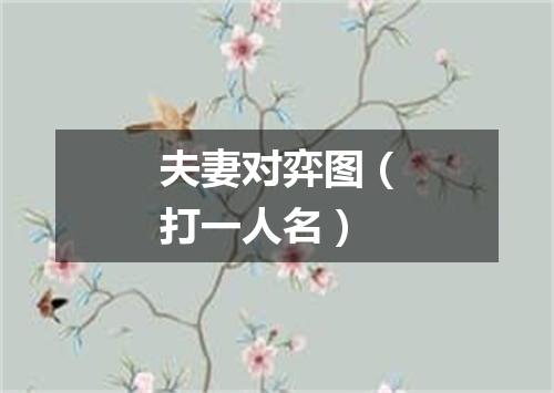 夫妻对弈图（打一人名）