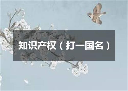 知识产权（打一国名）
