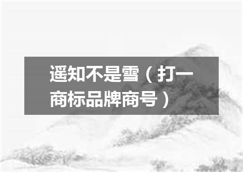 遥知不是雪（打一商标品牌商号）