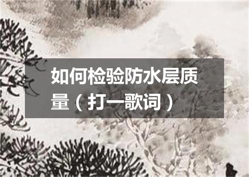 如何检验防水层质量（打一歌词）