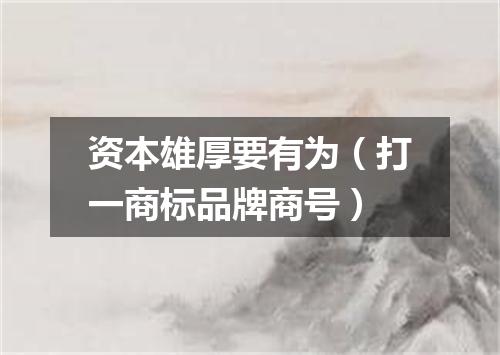 资本雄厚要有为（打一商标品牌商号）